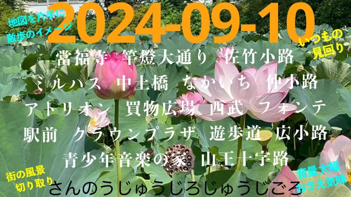 2024-09-10さんのうじゅうじろじゅうじごろ