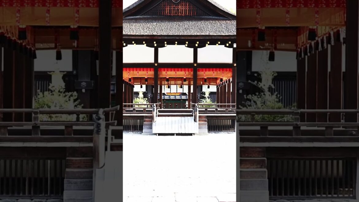 Ultimate Kyoto Travel Guide: Visiting Shimogamo Shrine! [2024]下鴨神社