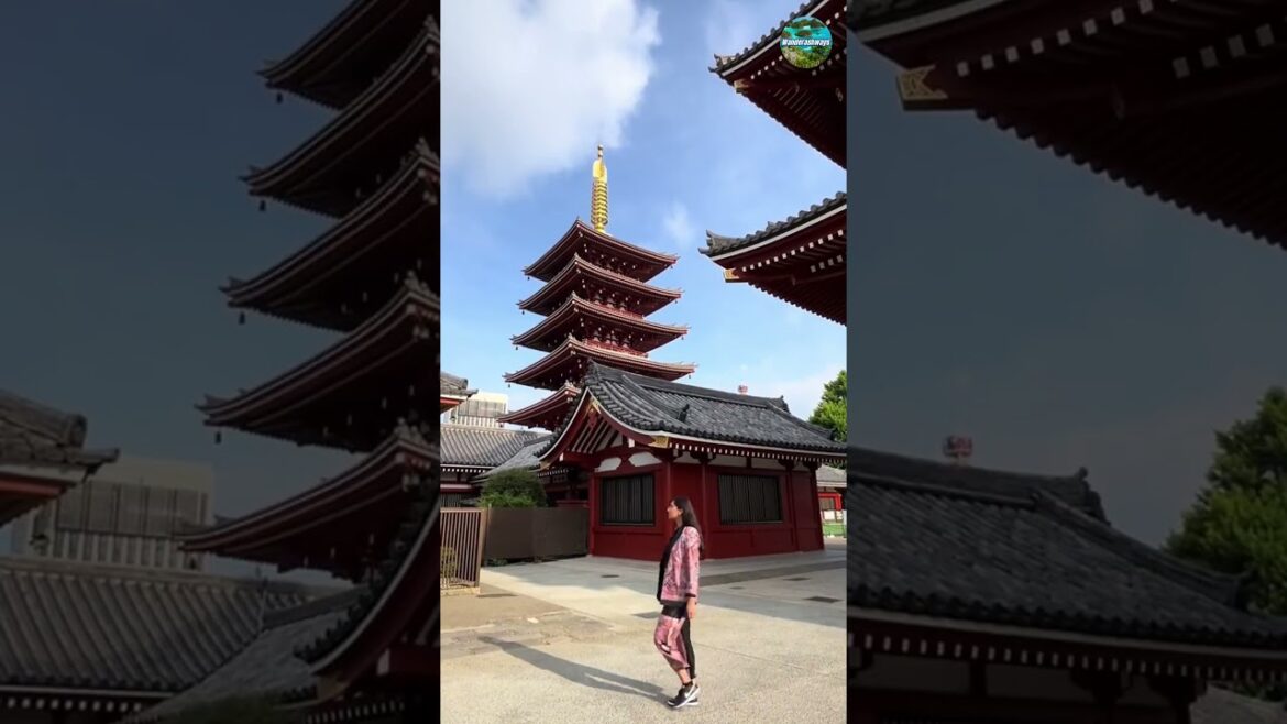 Thinking of Visiting Tokyo, here's what you need to do in a day! #shorts #tokyotravel #destinations