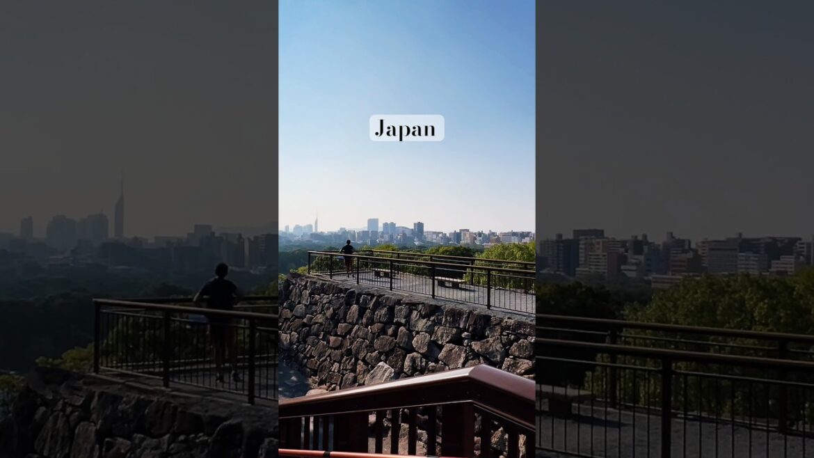 Fukuoka Travel Experts Share Top Japan Secrets