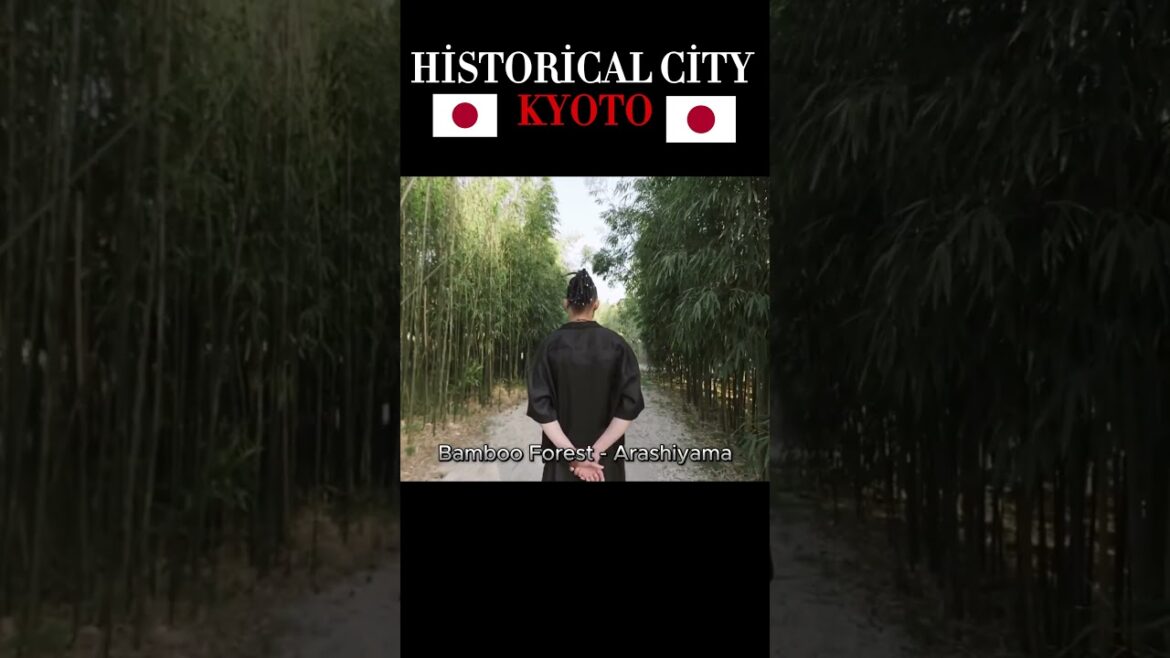 Experience Geisha Culture in Kyoto #top #travel#kyoto #japan #shorts #youtubeshorts