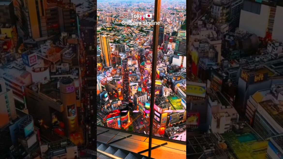Tokyo view🔥 #tokyo #shorts Tokyo view🔥 #tokyo #shorts