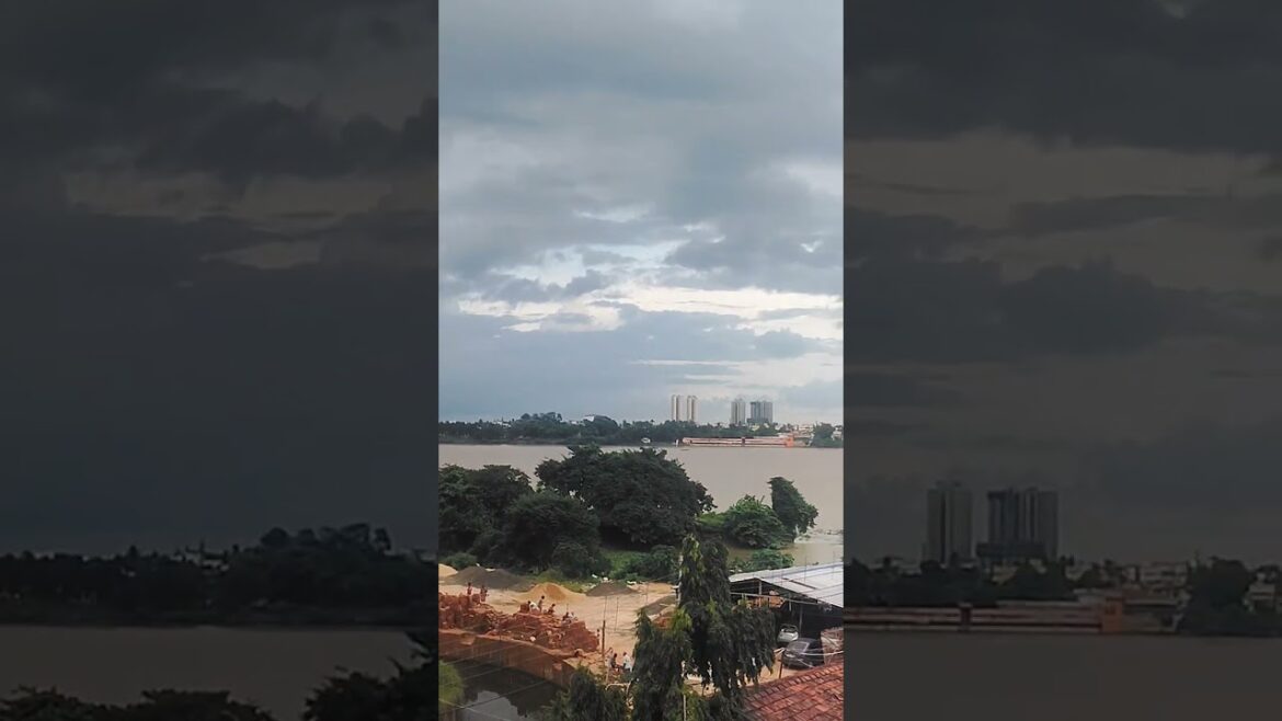 Arijit Singh Dekho Aloy -Melody for Every Heart #arijitsingh