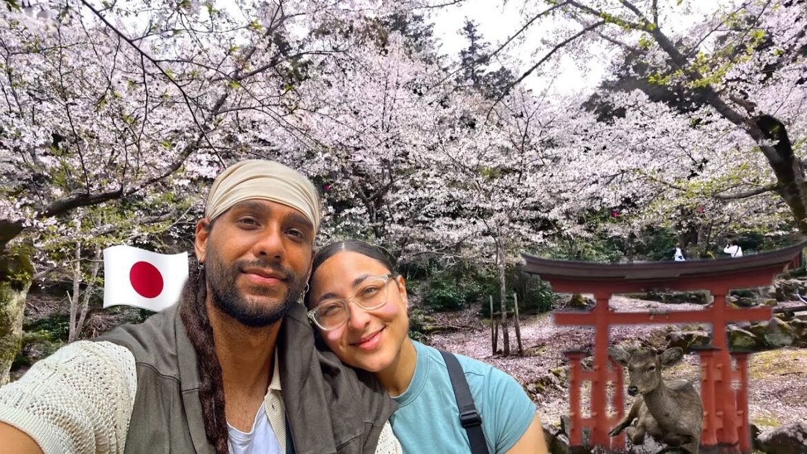 The Top 3 Mystical Islands in Japan You Need to Visit in 2024 | Japan travel vlog