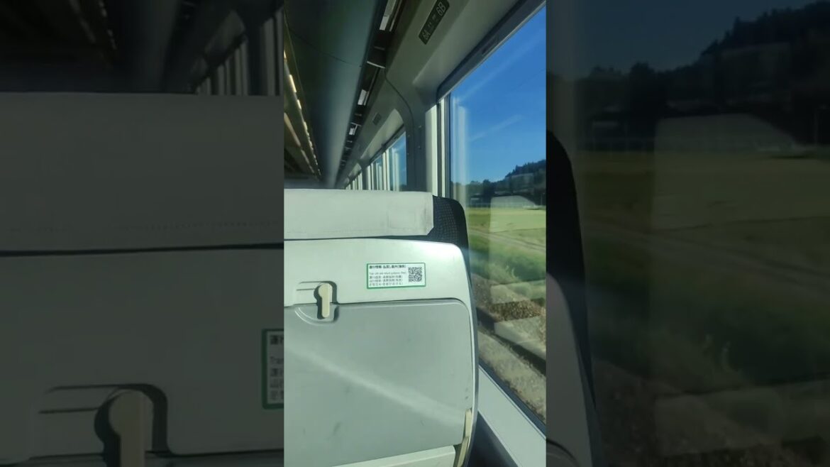 Beautiful Panorama From Tsugaru Limited Express Windows #asmr #japanrailway #jr東日本 #特急つがる #railway