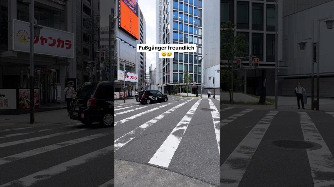 Aber wer hat jetzt Vorfahrt? 😅🤷‍♀️ #japan #nagoya #japanreise #reisetipps #fyp #memesdeutsch