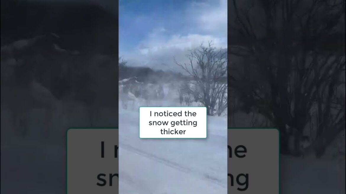 Hakodate to Sapporo via Train | Left coastal and travelling inland | Chitose line