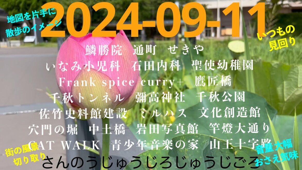 2024-09-11さんのうじゅうじろじゅうじごろ