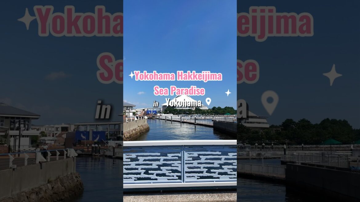 Resort Island in Yokohama Japan with Huge Aquarium Resort Island in Yokohama Japan with Huge Aquarium