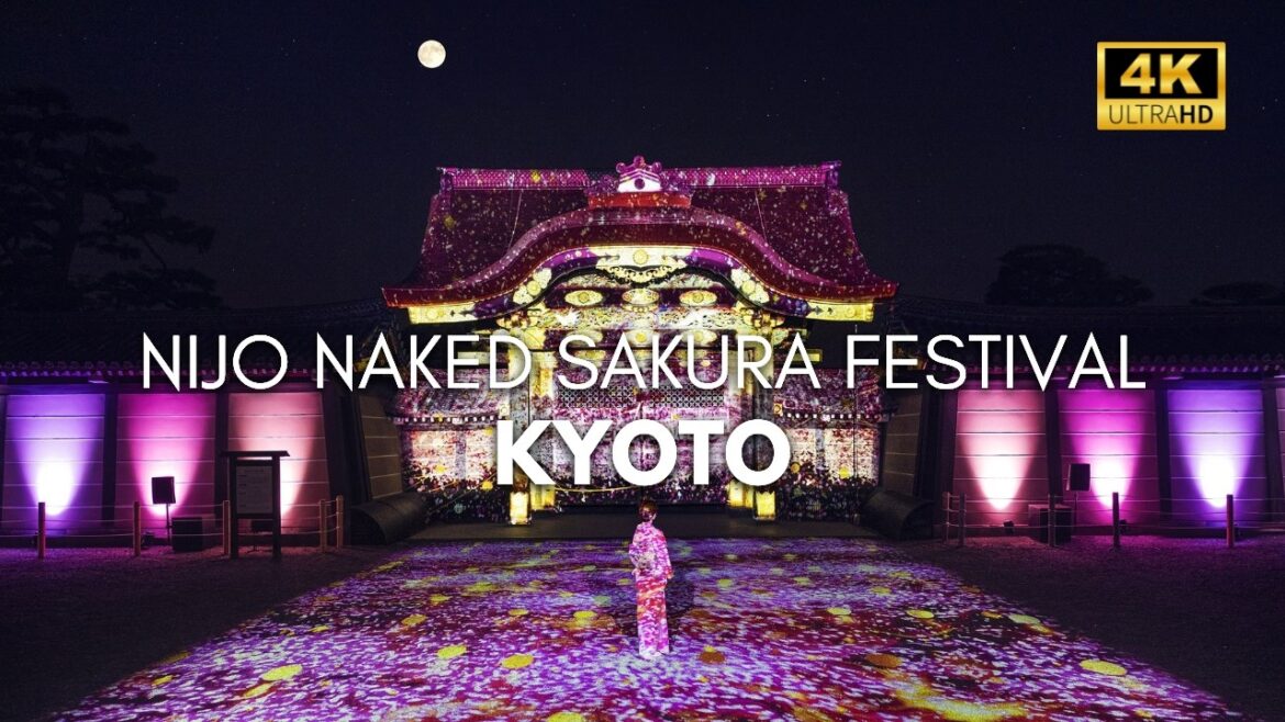 KYOTO FANTASY CASTLE! Nijo Naked Sakura Festival Walking Tour [4K60 HDR]