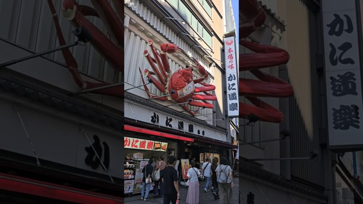 Dotonbori osaka