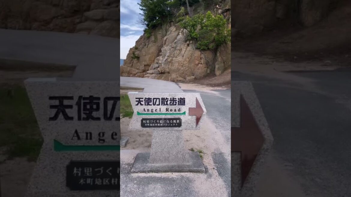 ποΈβ±οΈπ» #shodoshima #japantravel #japanIsland ποΈβ±οΈπ» #shodoshima #japantravel #japanIsland