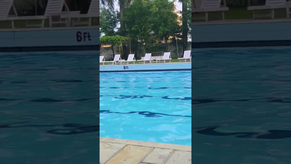 Watashi wastahhhh || Mamushi (feat. Yuki Chiba)  #short #shortsviral #trending #youtubeshorts Watashi wastahhhh || Mamushi (feat. Yuki Chiba)  #short #shortsviral #trending #youtubeshorts