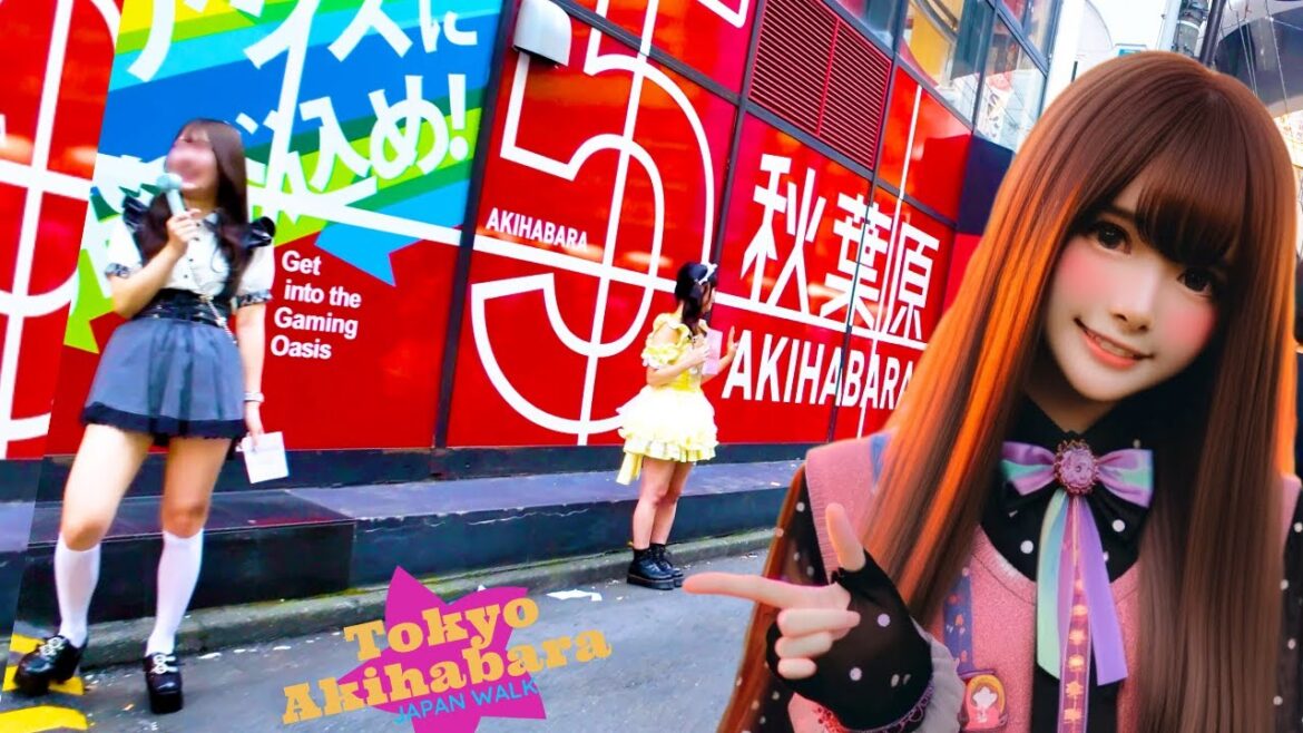 Tokyo Akihabara🐶Akihabara experience♪💖4K non-stop 1 hour