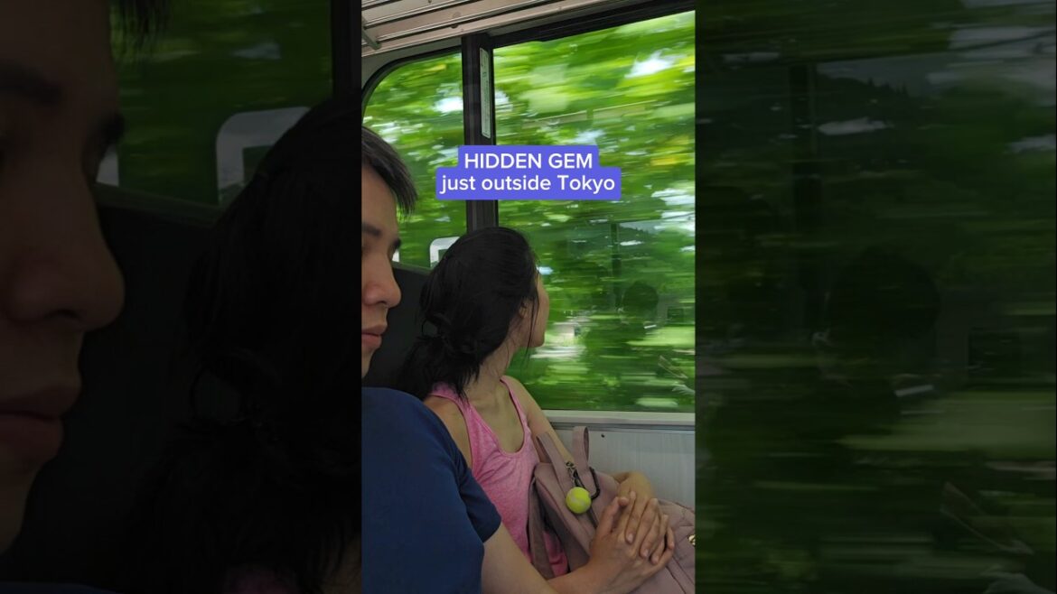 This view looks straight out of an anime #japantravel #hiddengem #mustsee This view looks straight out of an anime #japantravel #hiddengem #mustsee