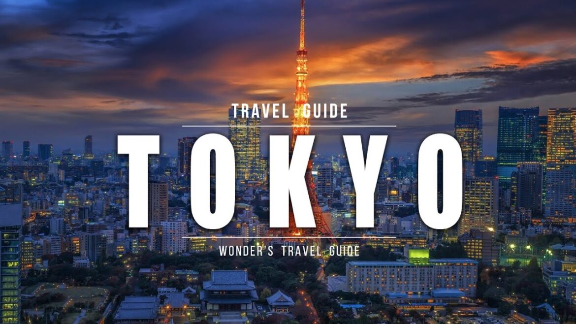 Tokyo Adventure Guide | 2024 Highlights