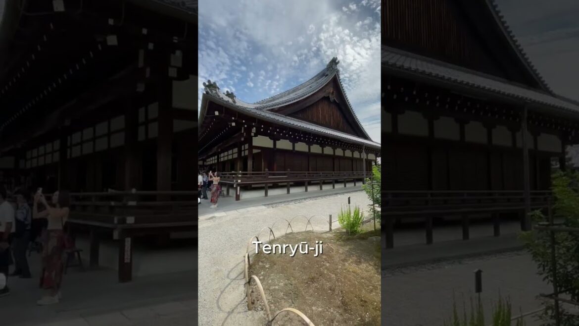 #tenryū #tenryūriver #tenryujitemple #kyoto #japan #tourism #travel