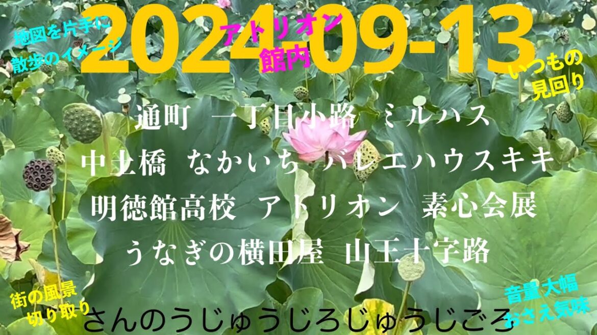 2024-09-13さんのうじゅうじろじゅうじごろ