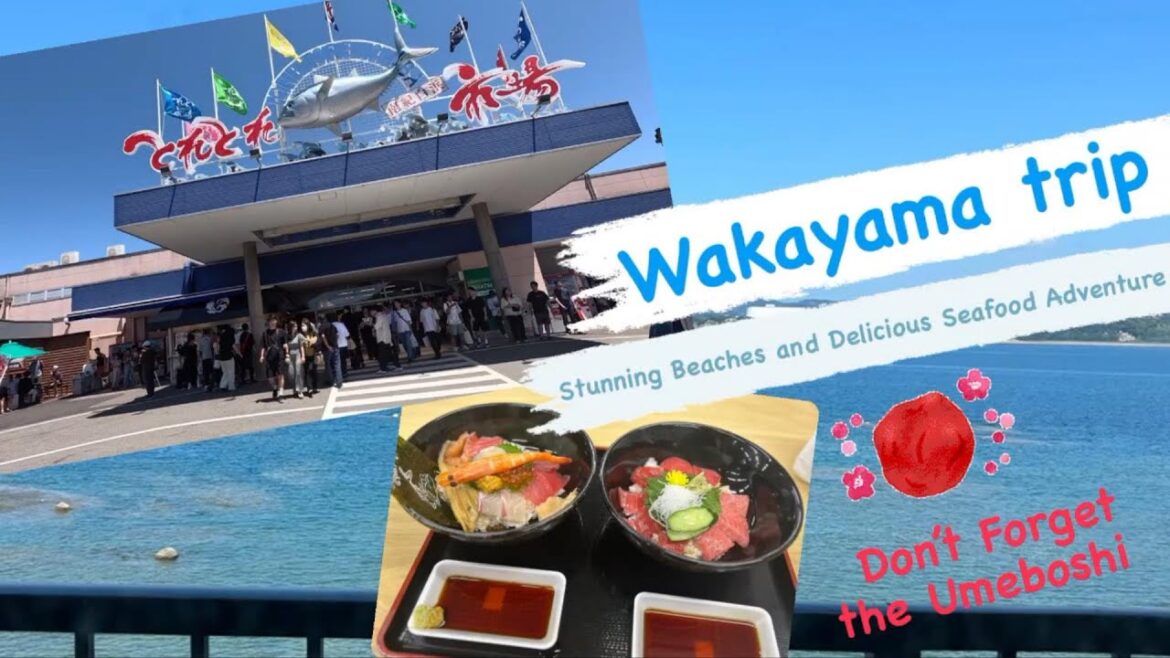 Wakayama trip: Summer Means the Sea, and the Sea Means Wakayama!