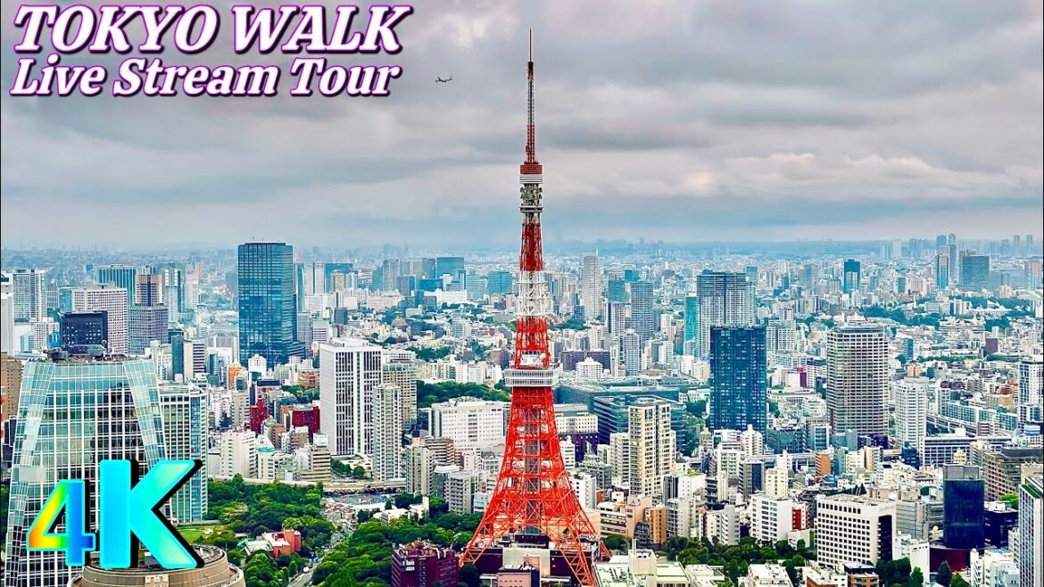 Japan Walk Compilation Live Stream Tour in 4K 🇯🇵✨