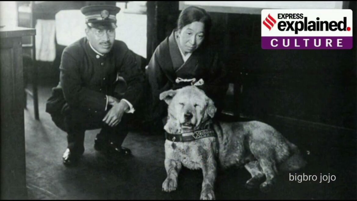 This is the story of Hachikō This is the story of Hachikō
