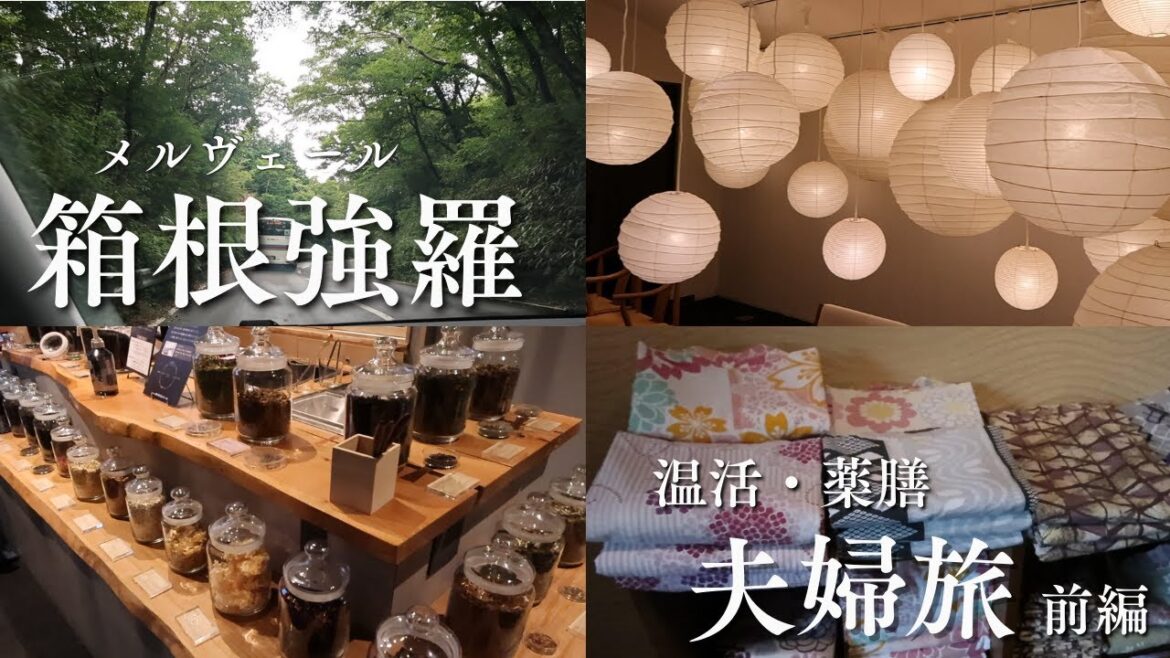 【Travel vlog】箱根夫婦旅 前編 | メルヴェール箱根強羅 | 薬膳 | 温活