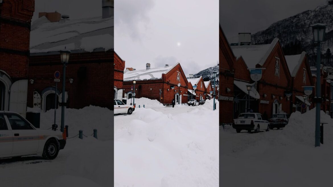 雪の北海道函館金森赤レンガ倉庫 #snow #hokkaidotravel #travel #hokkaidotrip #winter #hokkaido #hakodate #北海道 #函館