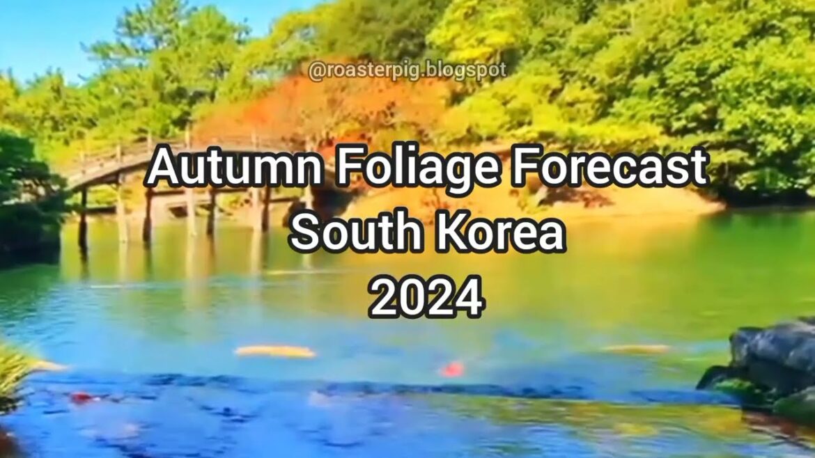 2024 South Korea AUTUMN FOLIAGE Forecast & Schedule - Best Places to Visit in the Fall