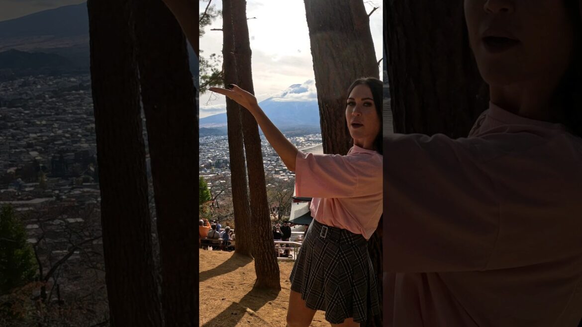 Von Tokio zum Mt. Fuji 🗻🇯🇵 #japantravel #japan #travelvlog #travel #fuji #traveling