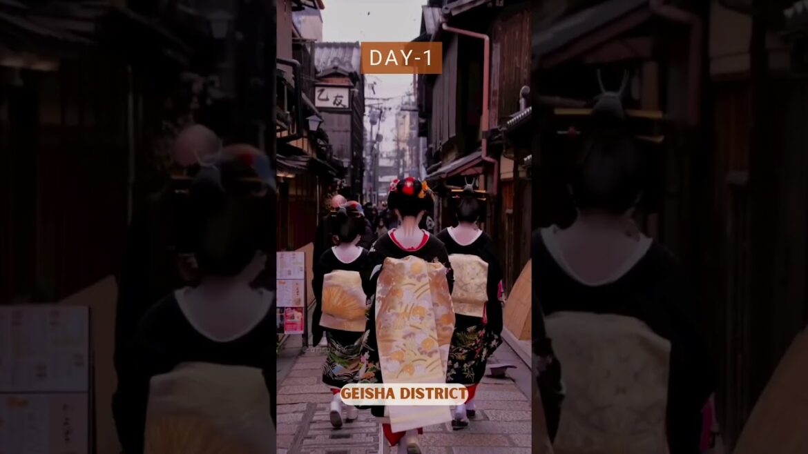 How to Spend 3 Days in Kyoto | 1st Day in Kyoto #kyoto #japan trip π―π΅ How to Spend 3 Days in Kyoto | 1st Day in Kyoto #kyoto #japan trip π―π΅