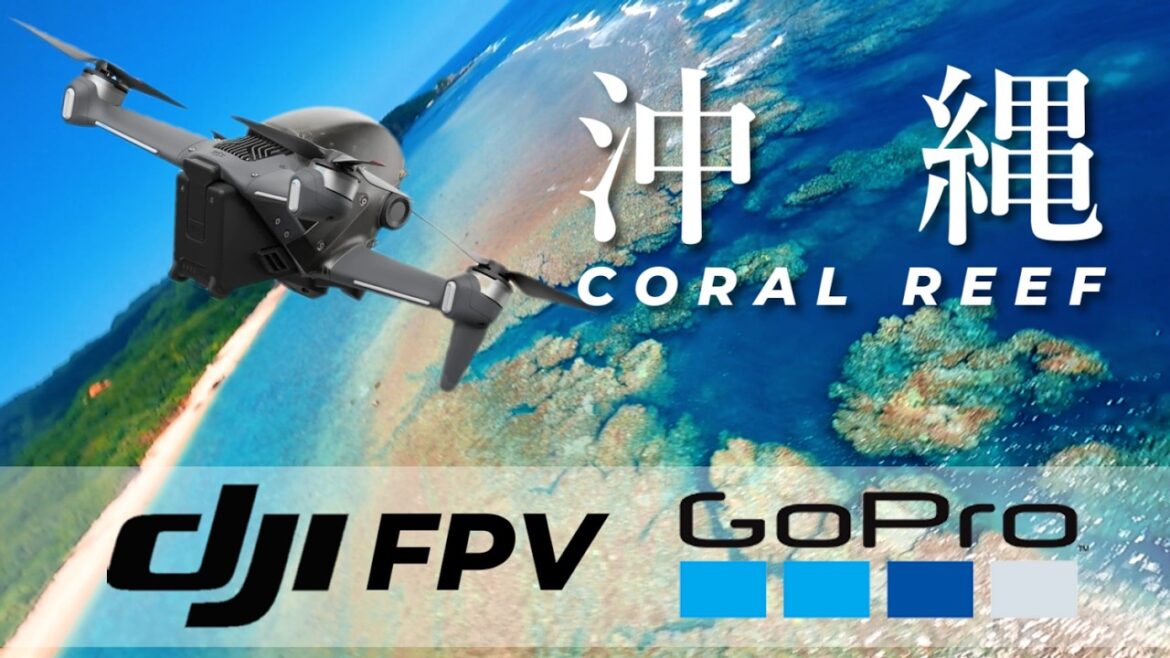 DJI FPVが楚洲海岸の美しい珊瑚礁と大自然を空中散歩 | 沖縄最果ての絶景! DJI FPVが楚洲海岸の美しい珊瑚礁と大自然を空中散歩 | 沖縄最果ての絶景!