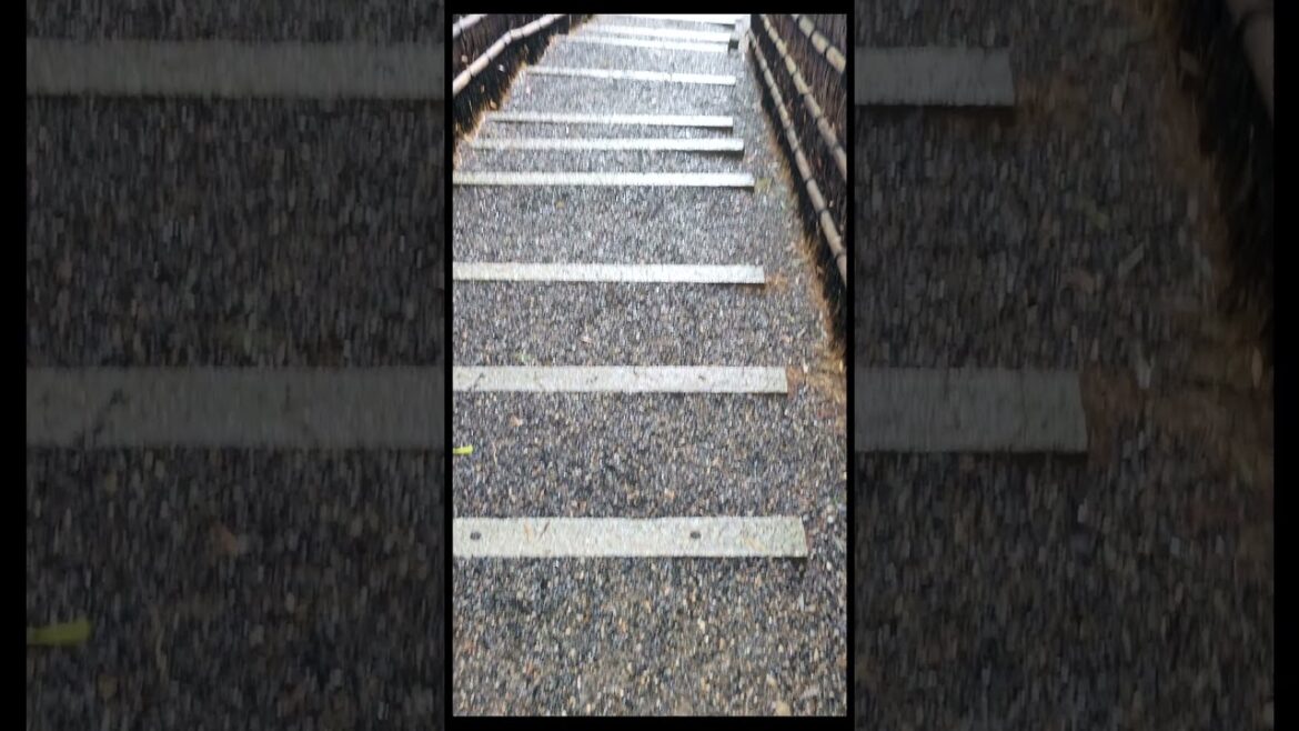 Best Bamboo Forest Temple- Adashino Nenbutsu-ji #shorts #kyoto #japan #explore #travel #vlog #trend