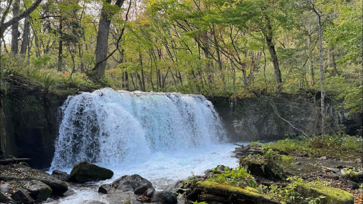 Oirase Stream and Lake Towada Autumn in Tohoku Japan