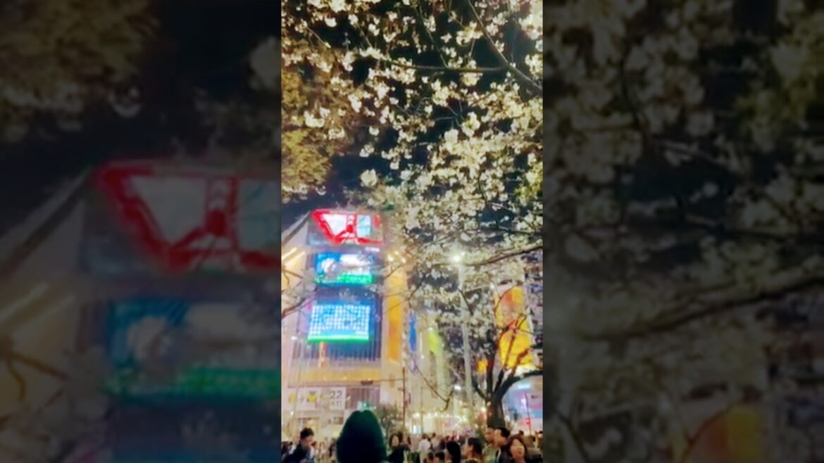 The Heartbreaking Story of Hachiko #travel #shortvideo #shorts #short #reels #whatsappstatus #rap