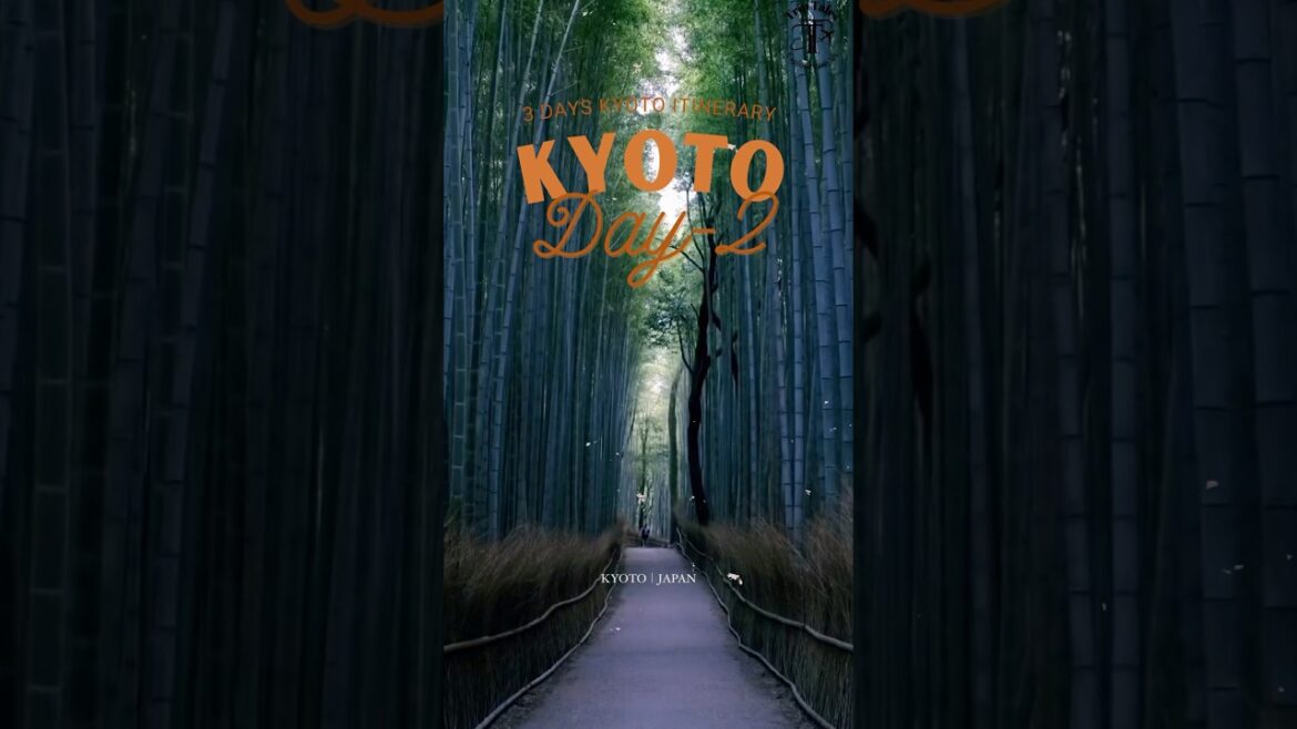 Ultimate 3 Days Itinerary of Kyoto | 2nd Day in Kyoto #shorts #kyoto #japan trip 🇯🇵