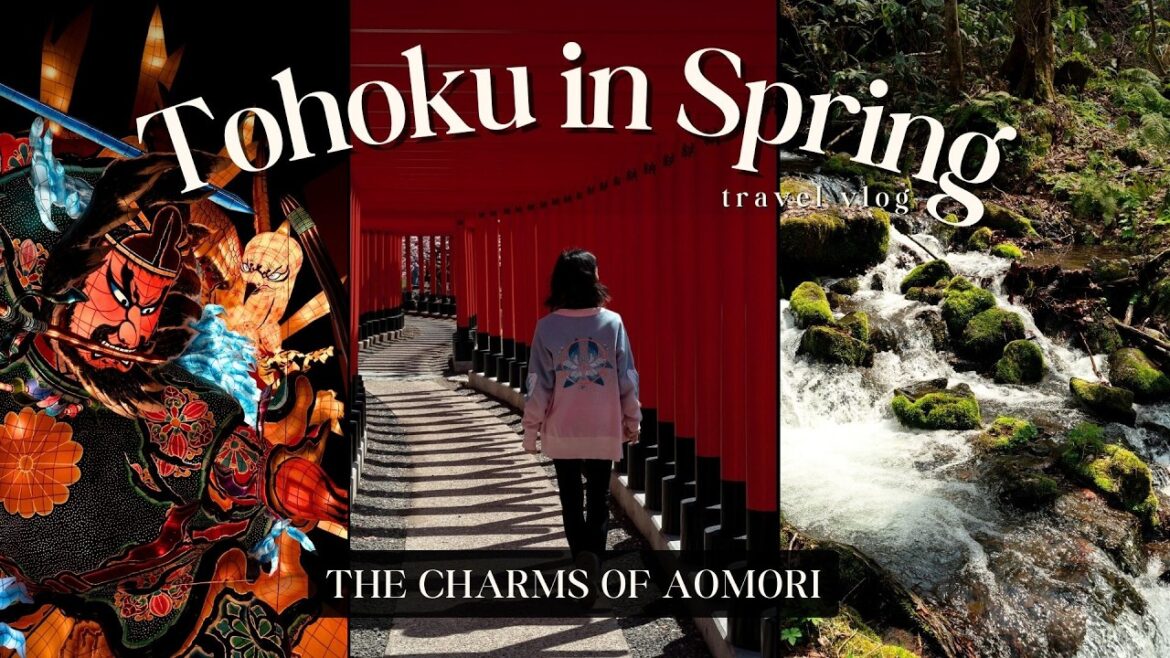 Charms of Aomori | Oirase Gorge, Nokkedon, Hirosaki, Tachineputa Travel Highlights | 東北 VLOG Charms of Aomori | Oirase Gorge, Nokkedon, Hirosaki, Tachineputa Travel Highlights | 東北 VLOG