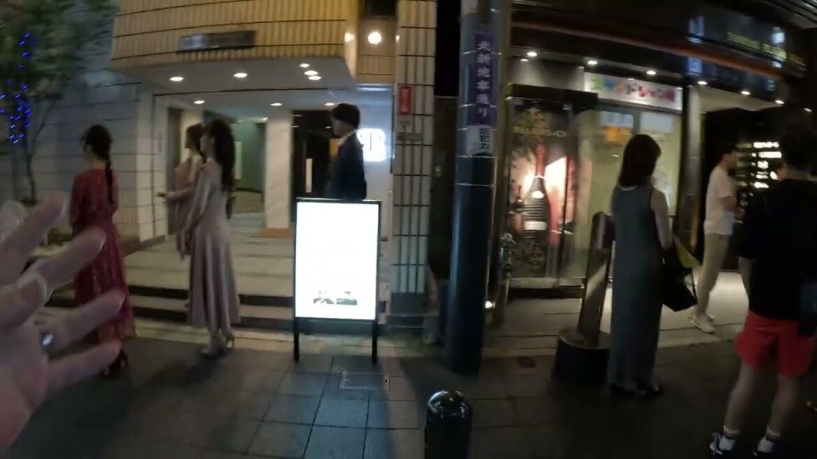 Osaka Japan at night very interesting walk.