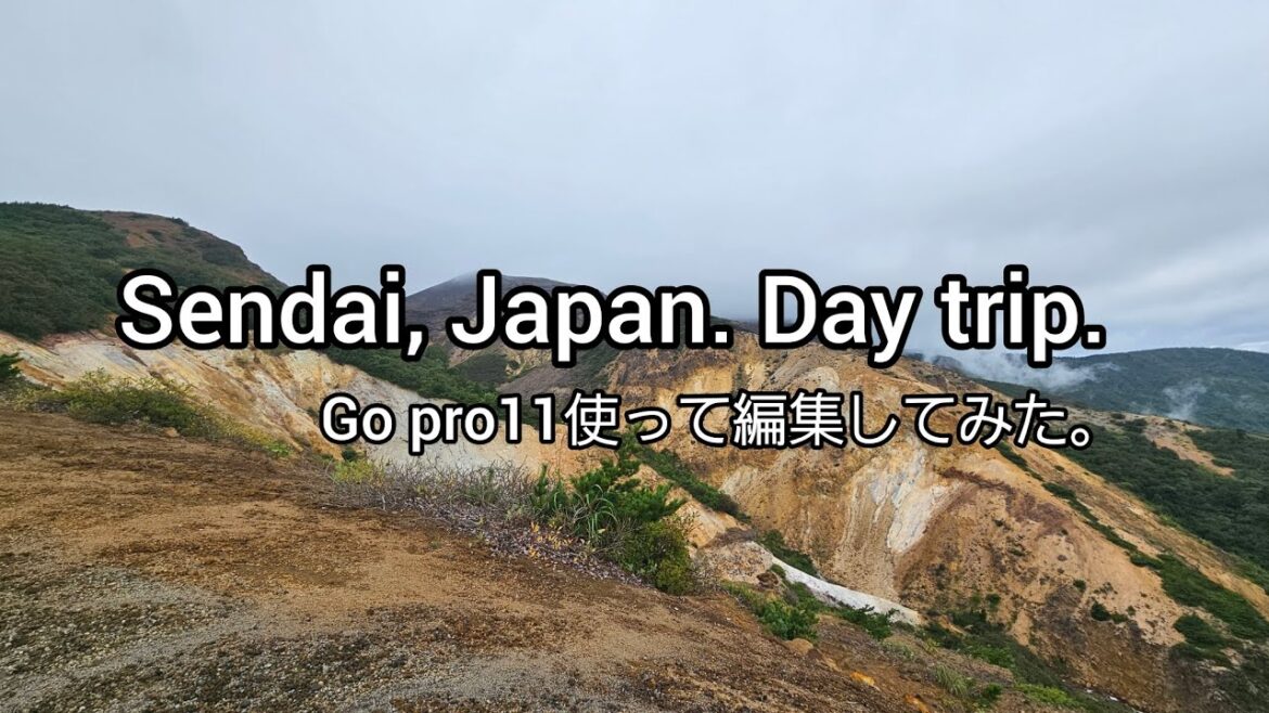 Sendai Japan. Day trip from Osaka by Peach aviation.