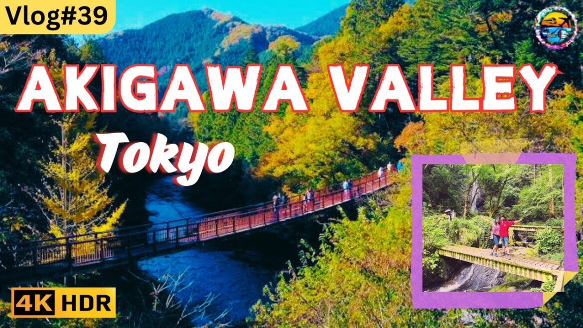 A Day Trip to Akigawa Valley Tokyo #travel #vlog #india #indogjvlogs
