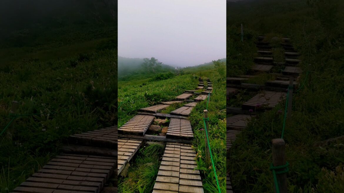 Hiking || Happo Pond || Hakuba Nagano || Japan #shorts#hiking#nagano#summerinjapan Hiking || Happo Pond || Hakuba Nagano || Japan #shorts#hiking#nagano#summerinjapan