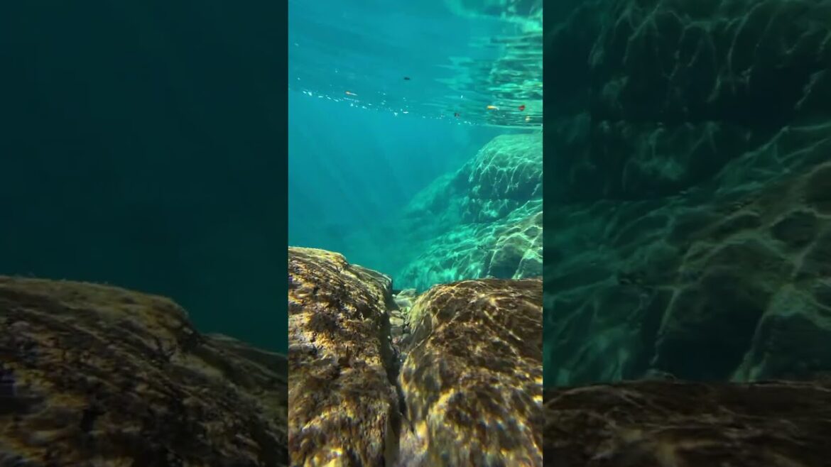 なんかゾッとする・・・。