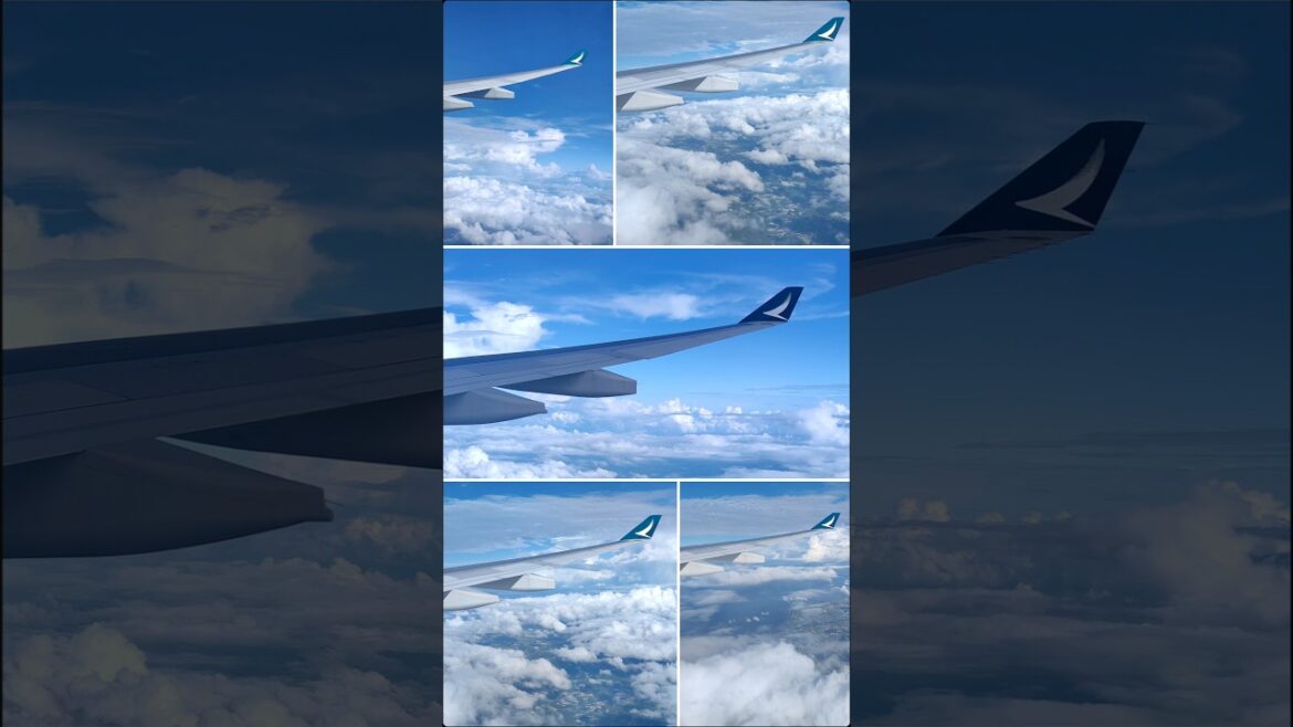 #travel #shorts #cathaypacific #nagoya #名古屋 #自由行 #日本