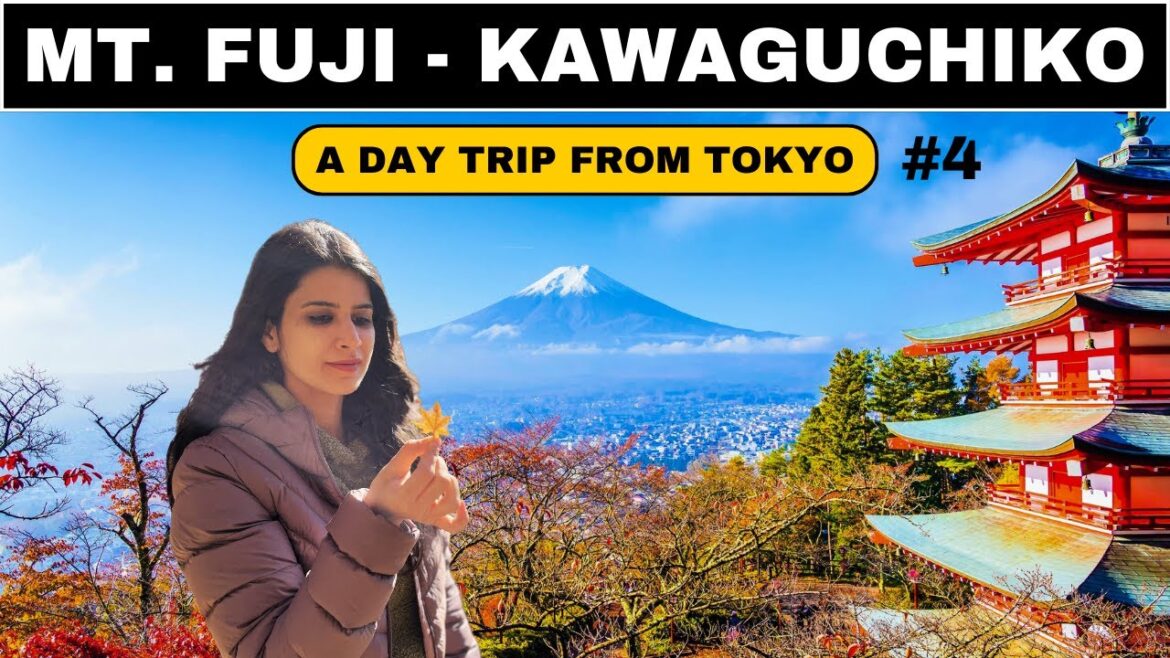 Mount Fuji Day Trip from Tokyo | Mount Fuji | Kawaguchiko | Travel Around the World