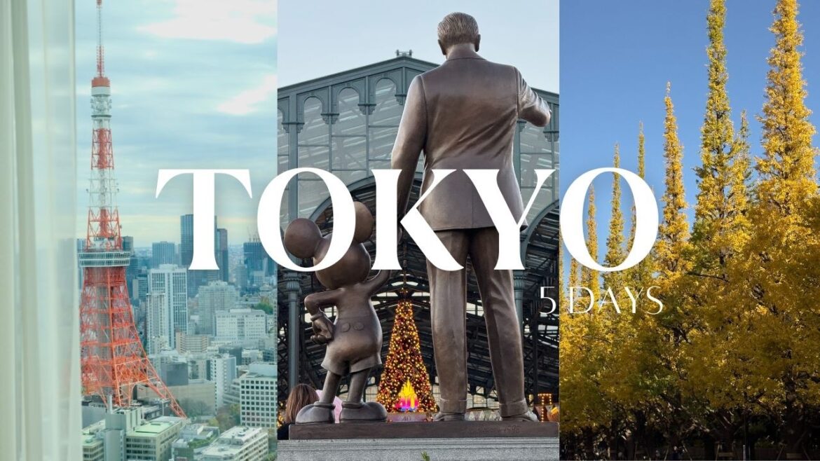 Tokyo 東京: 5-day trip| Autumn Welcoming Winter & Illuminations, Disney, Harry Potter Tour, Yokohama.