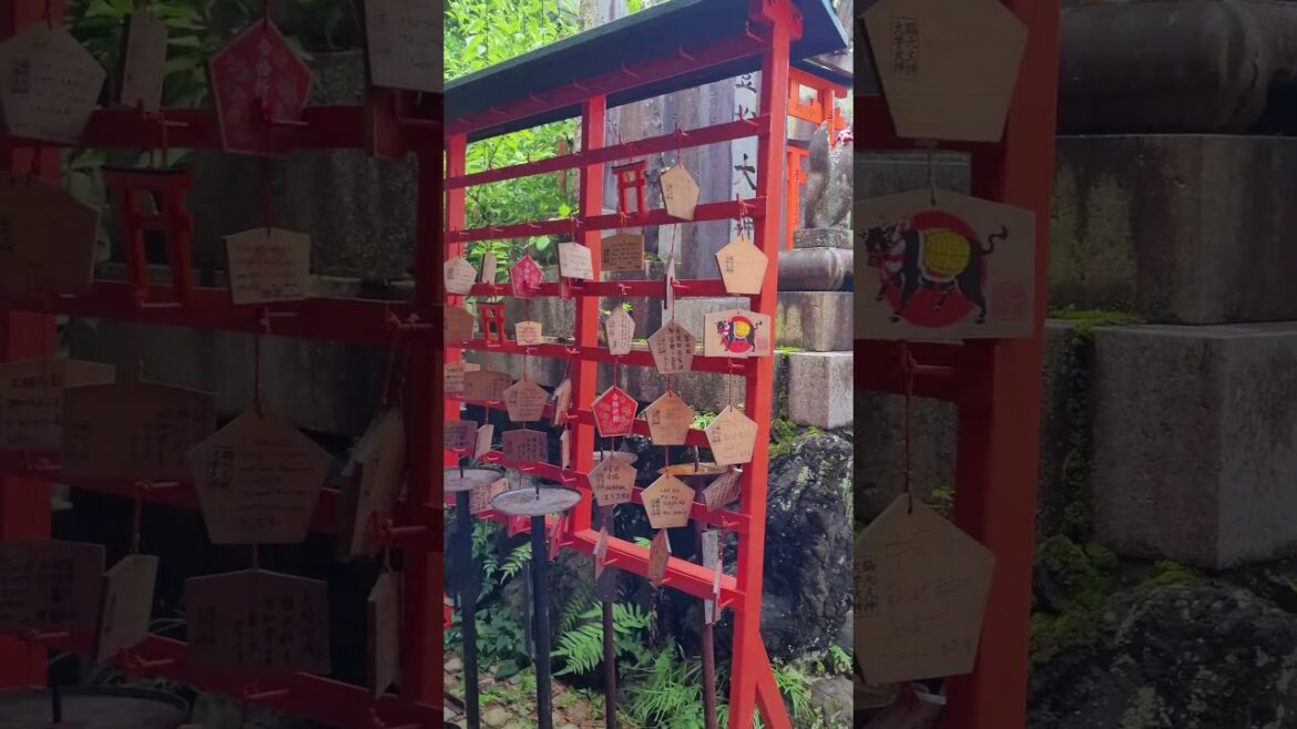 Fushimi Inari, Kyoto #explore #travel #shorts #kyoto #japan #explore #travelvlog #motivation
