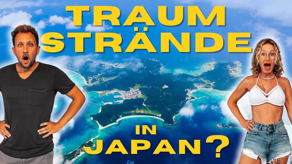 Der große OKINAWA Guide 2024 | 4K Der große OKINAWA Guide 2024 | 4K