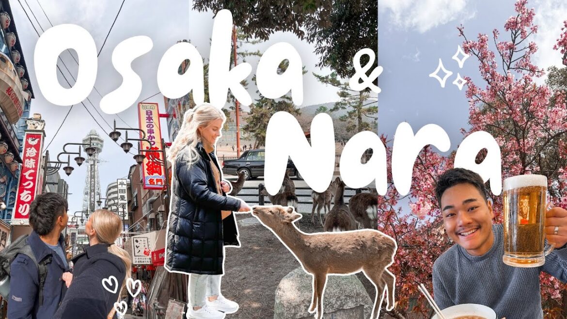 Exploring Nara, Osaka & Kyoto | Shitennoji, Nara Park, Yasaka Shrine, & TeamLab | Japan Travel Vlog Exploring Nara, Osaka & Kyoto | Shitennoji, Nara Park, Yasaka Shrine, & TeamLab | Japan Travel Vlog