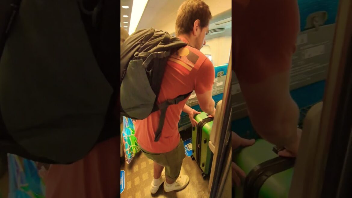 SHINKANSEN from kyoto to Tokyo #japanshorts #shinkansen #travel #travelshorts #japan #trainsjapan