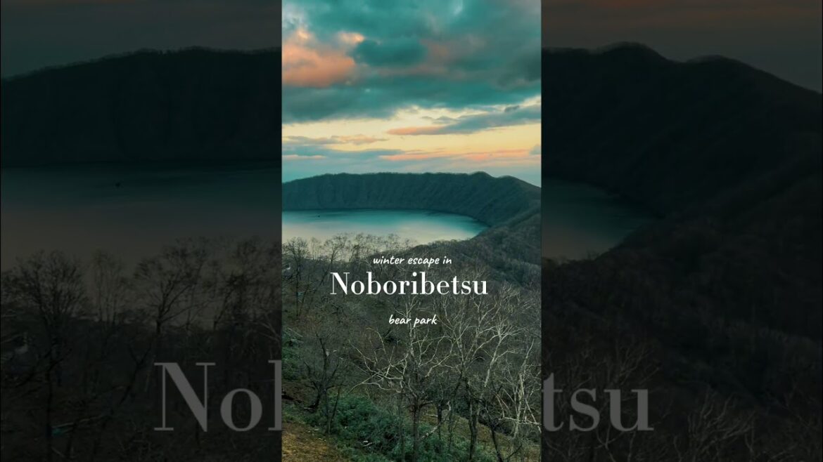 Winter Escape in Noboribetsu Bear Park | Hokkaido Japan #shorts #japan  #hokkaido