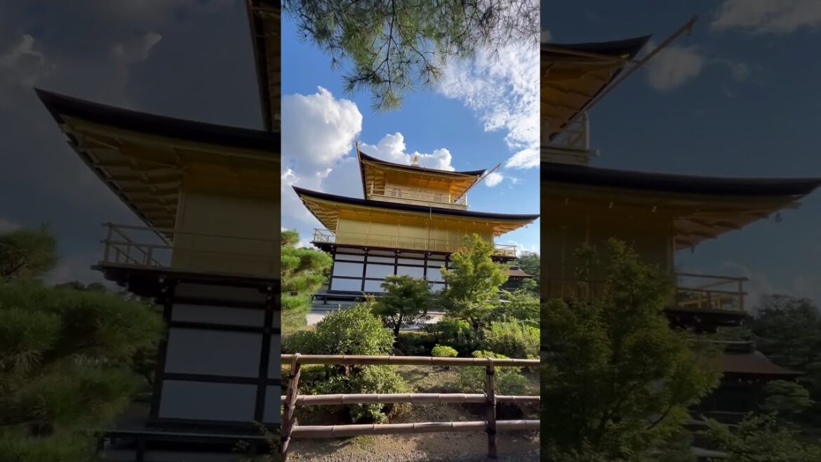 Golden Pavilion Temple Glimpse 🛕in Kyoto #travel #explore #japan